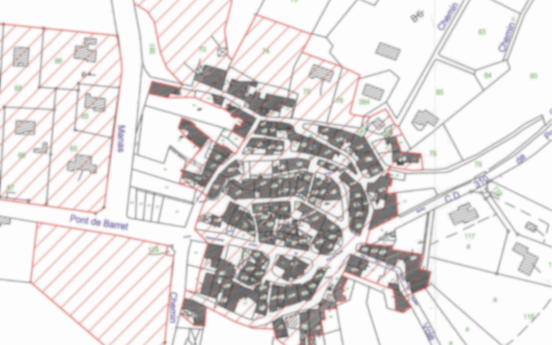 Urbanisme : la cohérence d’une carte communale s’apprécie à l’échelle de son territoire